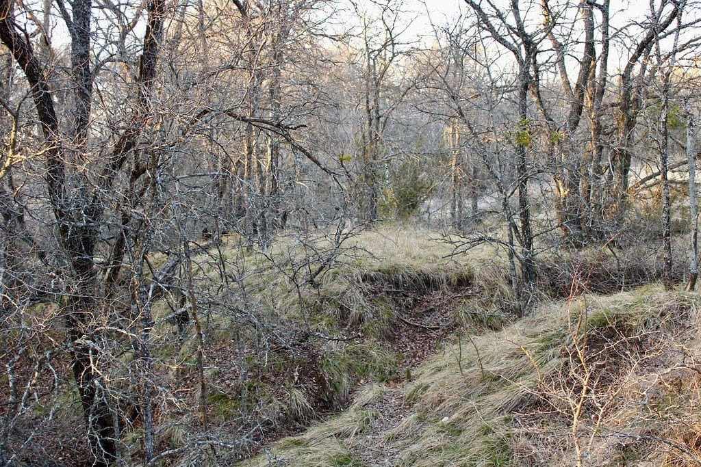 10.01 acres in Comanche County - photo 18