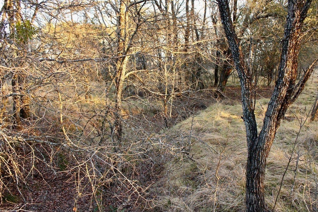 10.01 acres in Comanche County - photo 17
