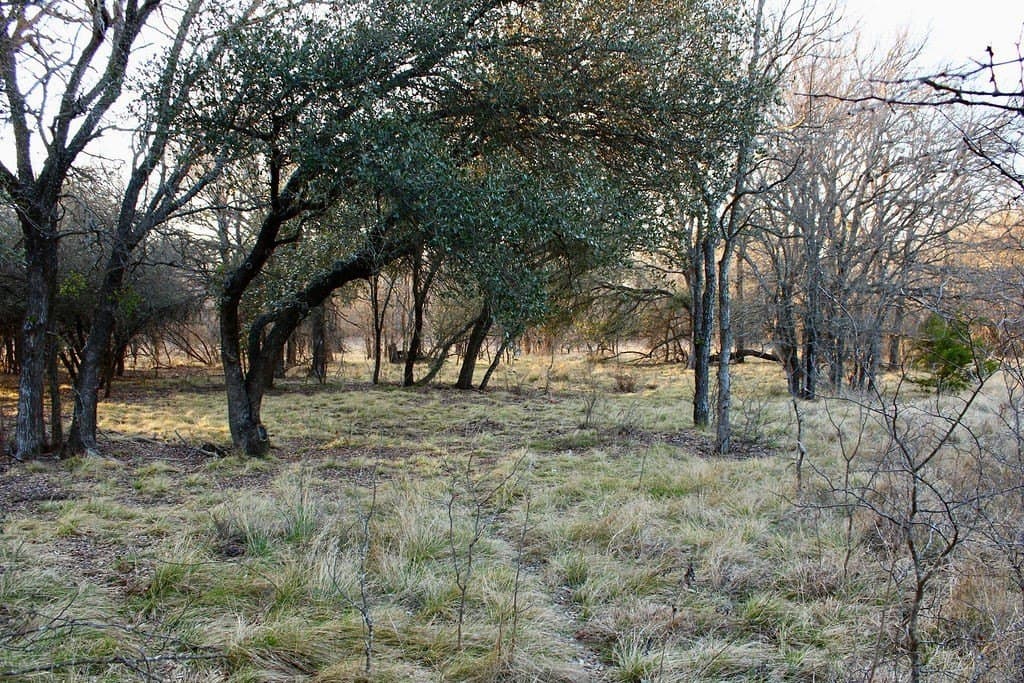 10.01 acres in Comanche County - photo 11