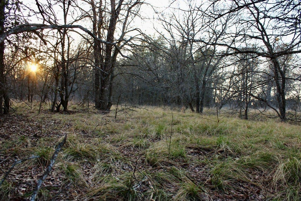 10.01 acres in Comanche County - photo 20
