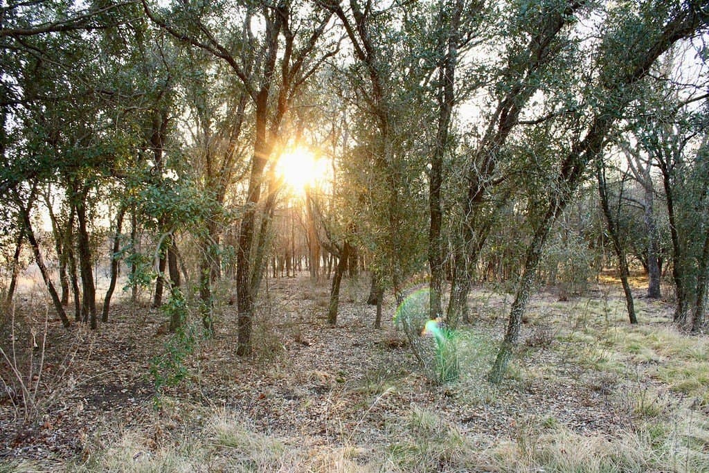 10.01 acres in Comanche County - photo 10