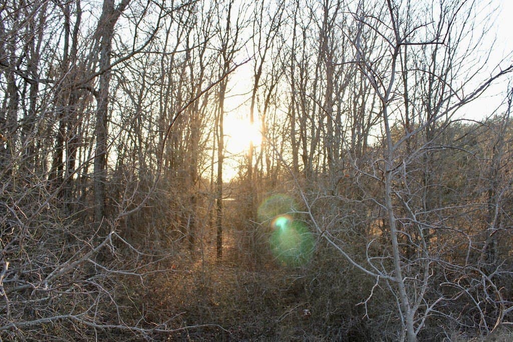 10.01 acres in Comanche County - photo 9