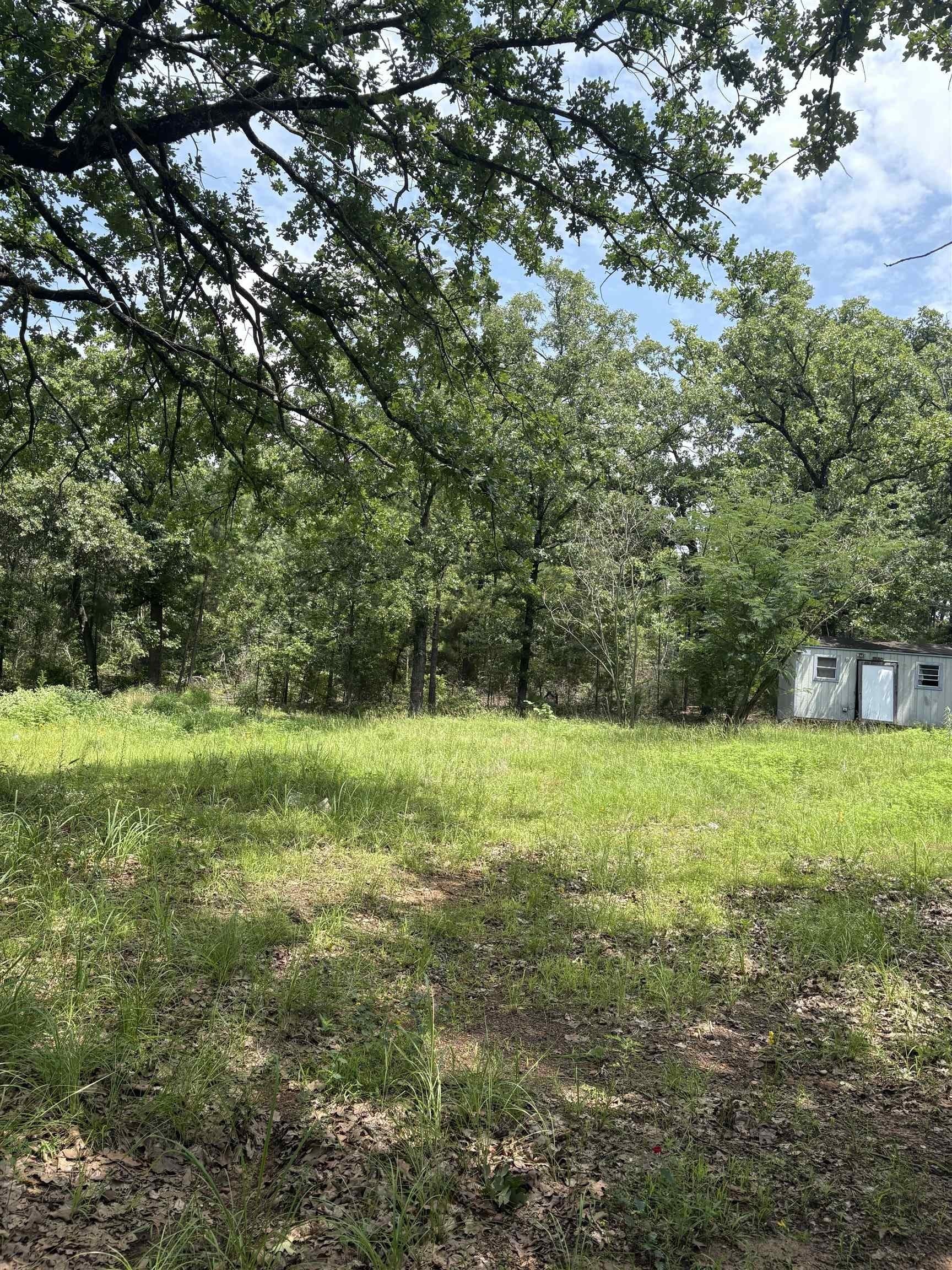 1 acres in Texas County gallery image 4