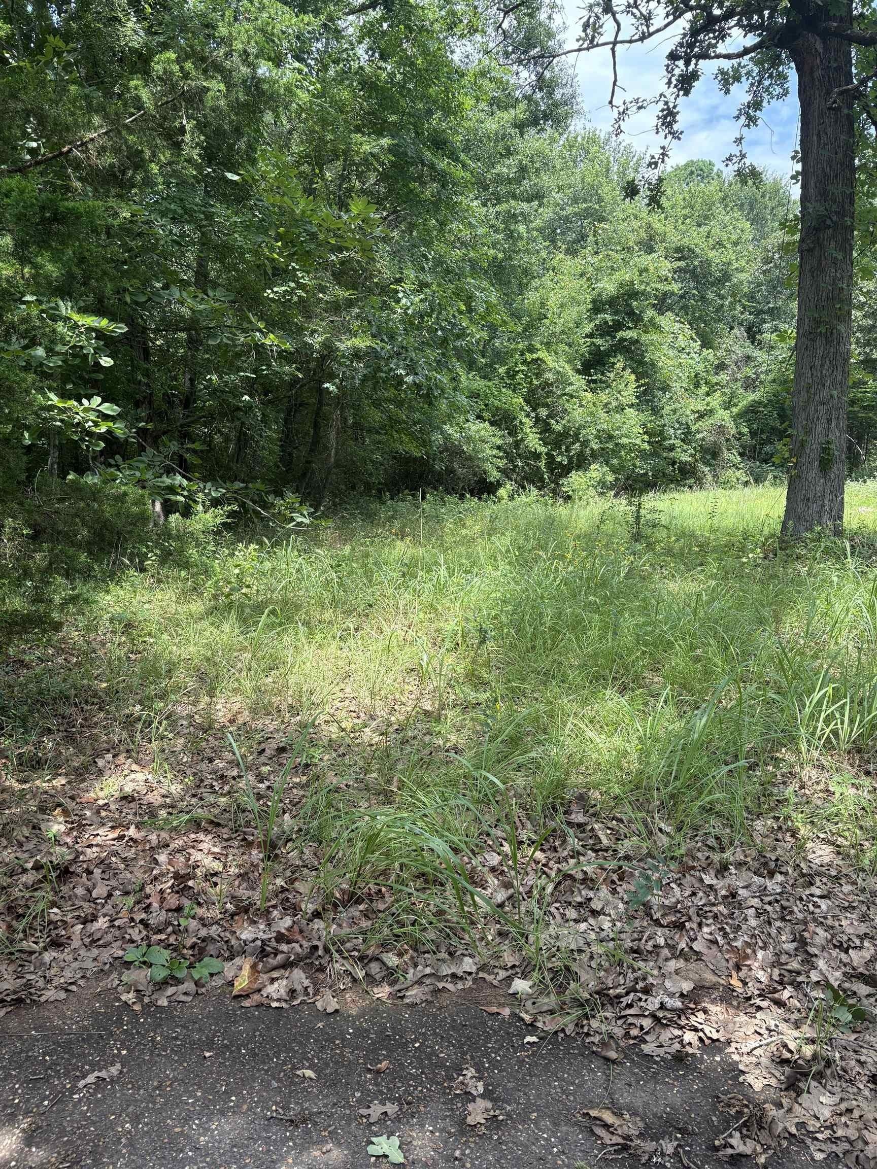 1 acres in Texas County featured view