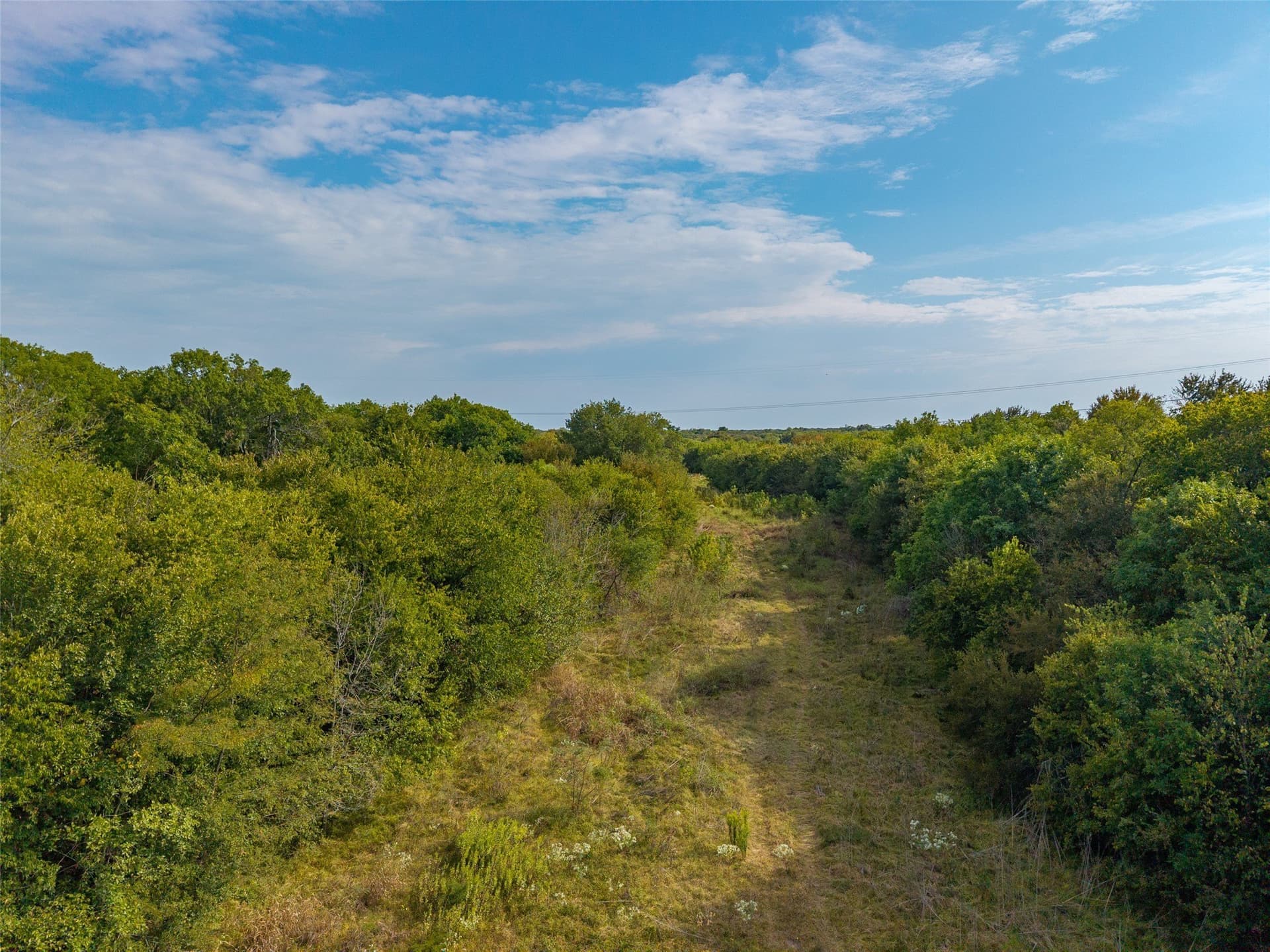 31.04 acres in Hunt County - photo 19