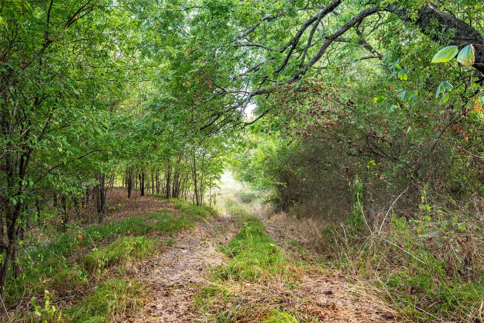 31.04 acres in Hunt County - photo 4