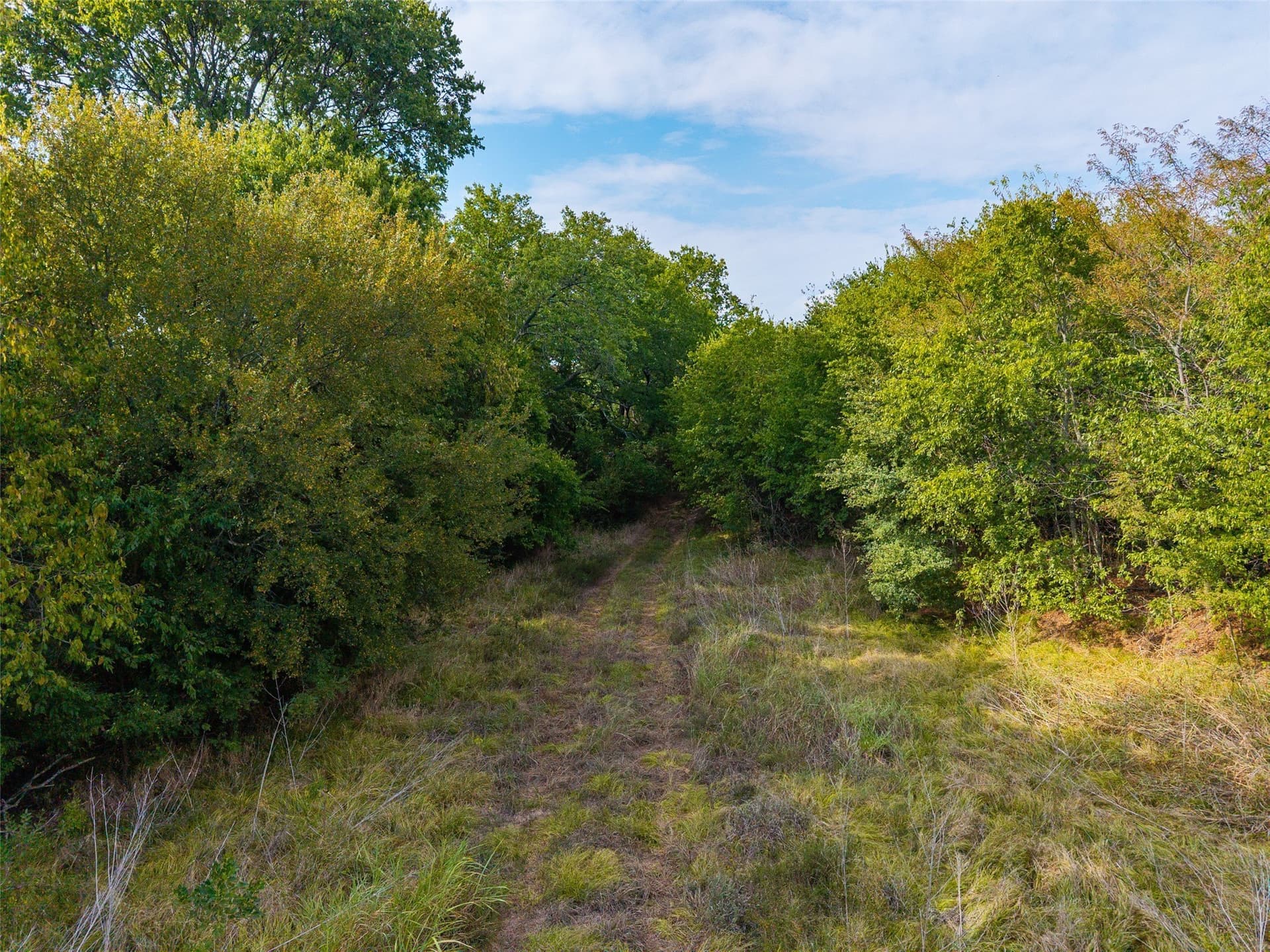 31.04 acres in Hunt County - photo 18