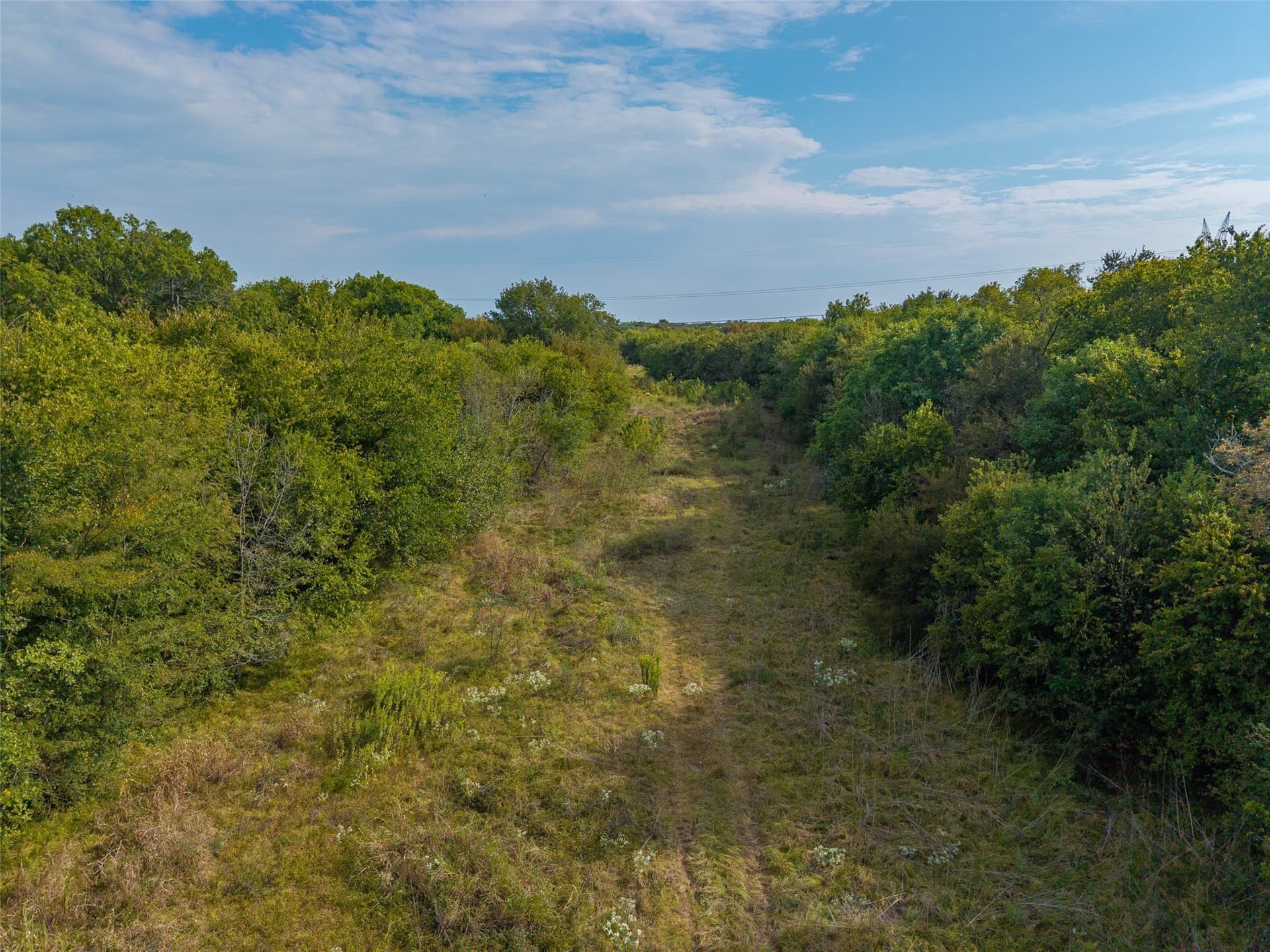 31.04 acres in Hunt County - photo 17