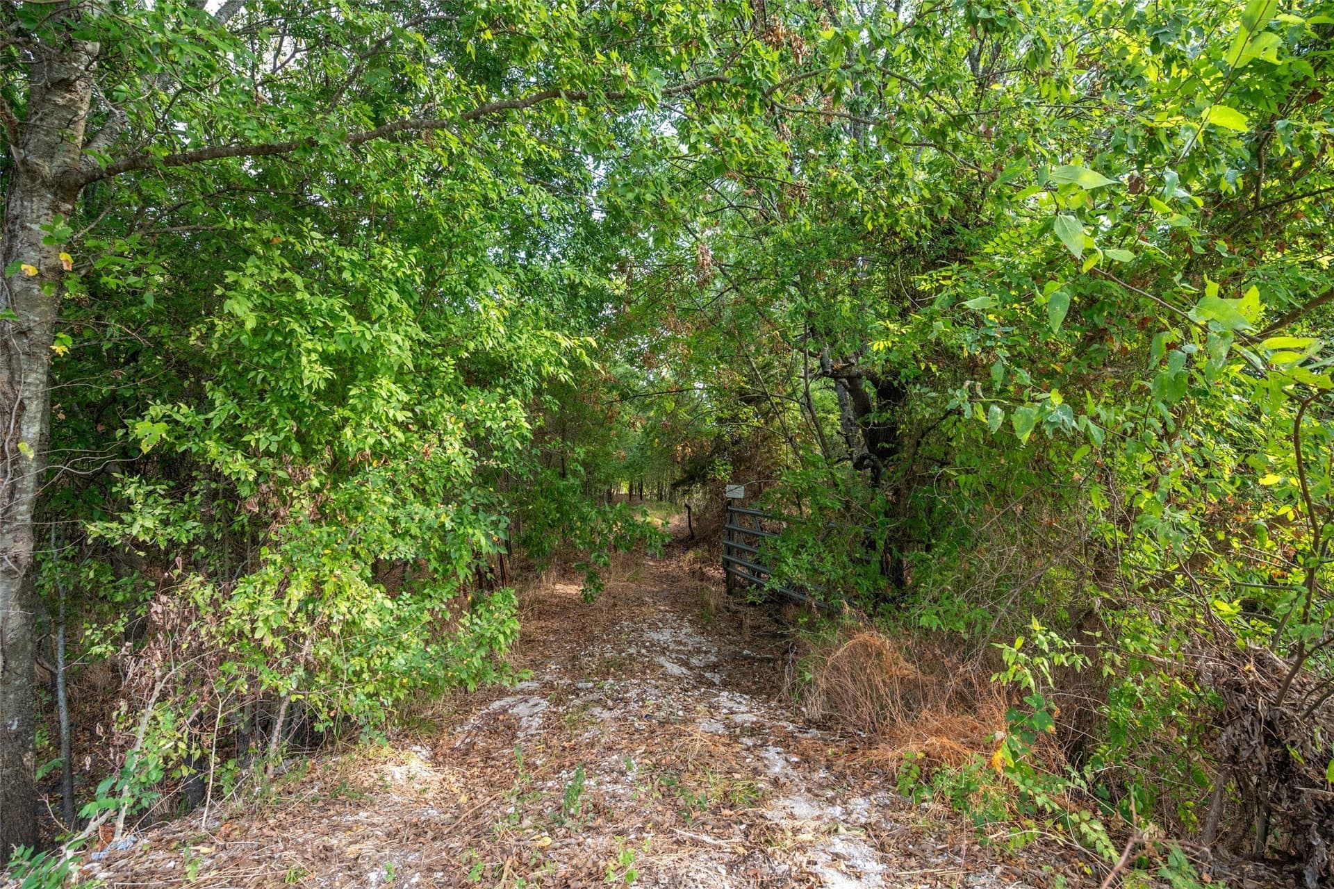 31.04 acres in Hunt County - photo 3