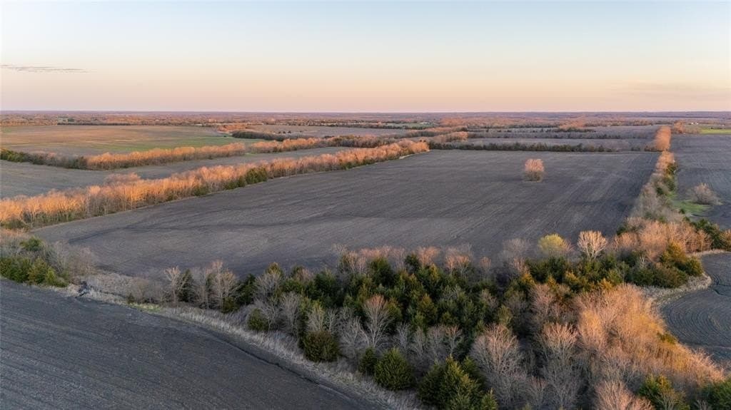 69.89 acres in Delta County gallery image 3
