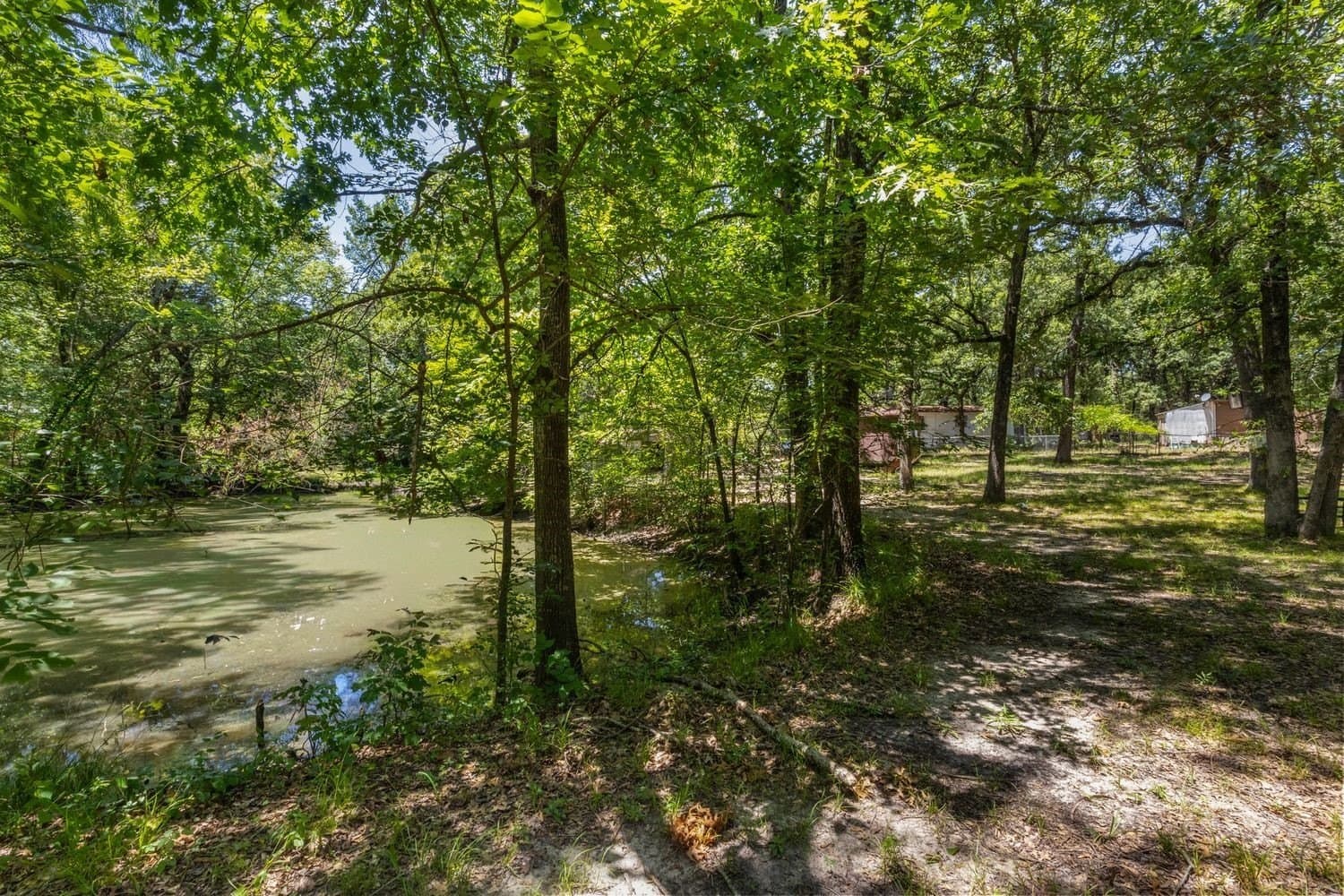 2.8 acres in Hunt County gallery image 2