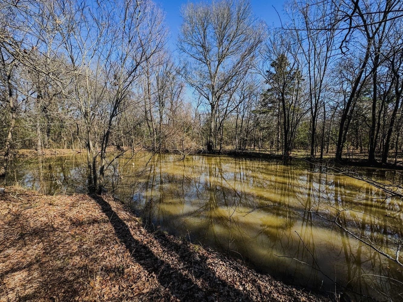 2.8 acres in Hunt County gallery image 3