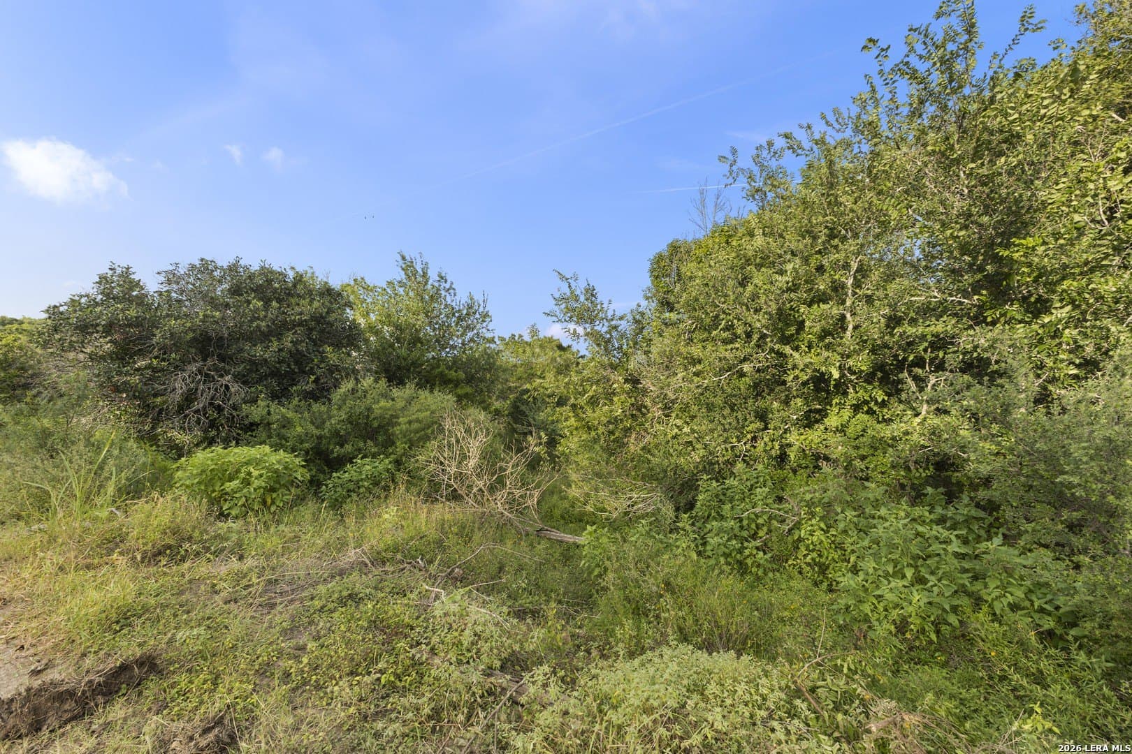 0.36 acres in Bexar County - photo 6