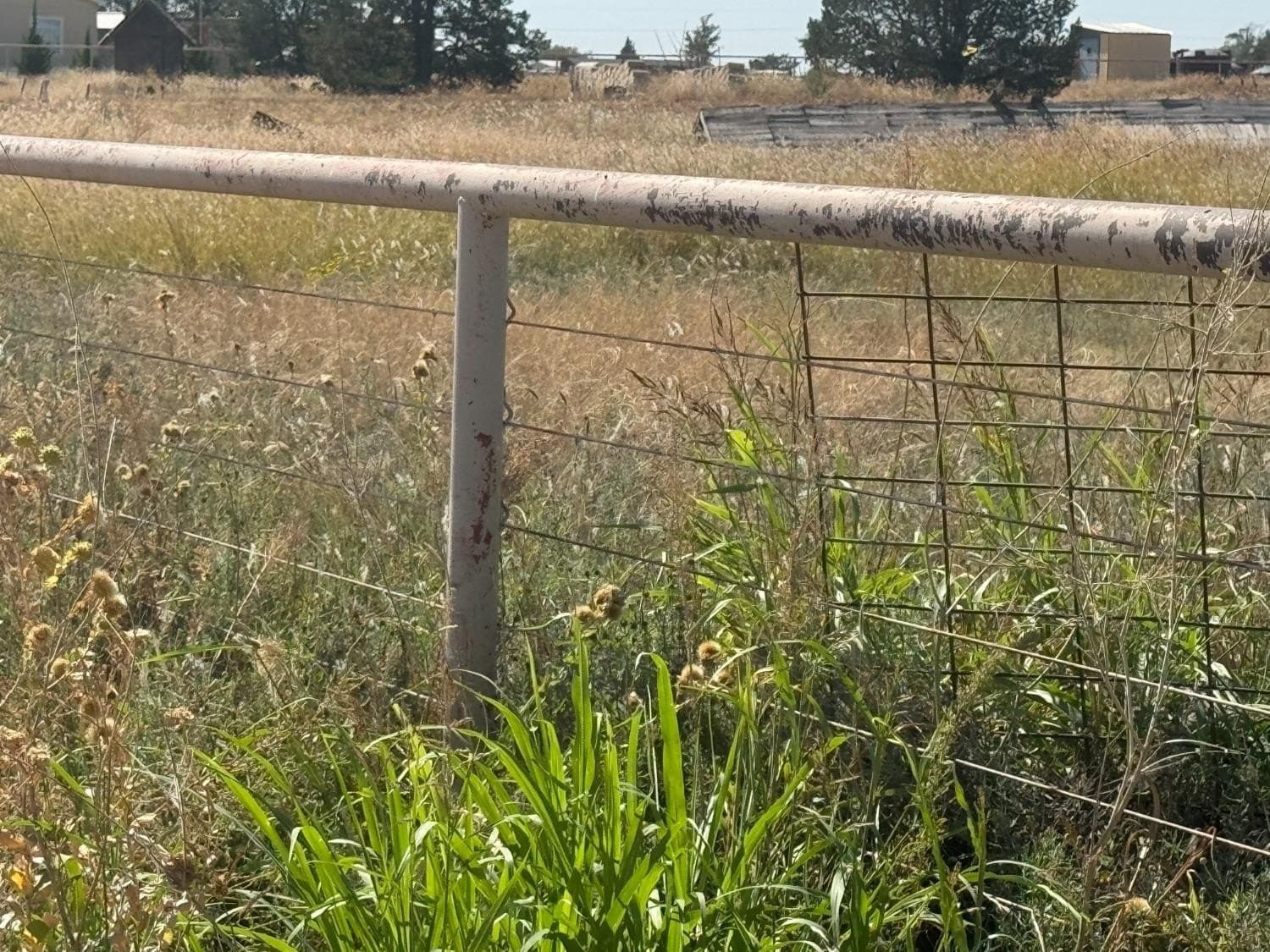 20.94 acres in Lubbock County gallery image 4