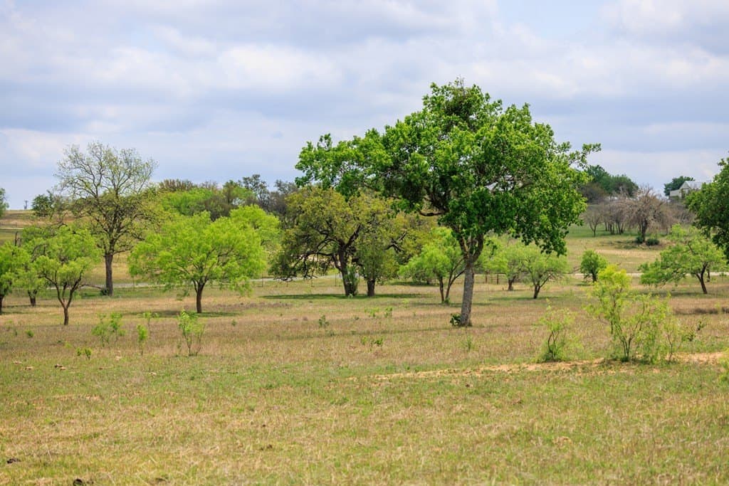 40 acres in Gillespie County - photo 13