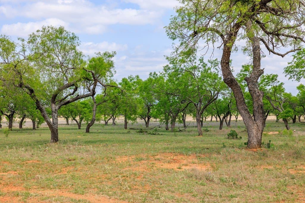 40 acres in Gillespie County - photo 14