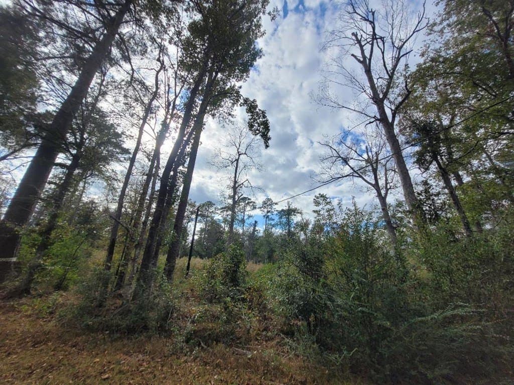 1.66 acres in Texas County gallery image 3