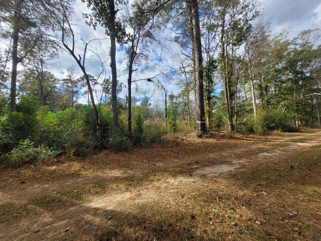 1.66 acres in Texas County featured view