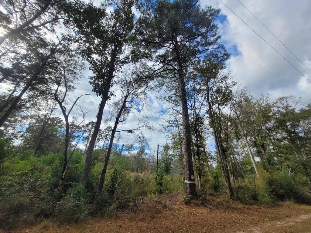 1.66 acres in Texas County