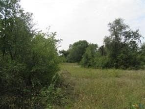 22.43 acres in Milam County - photo 5