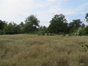 22.43 acres in Milam County - photo 8