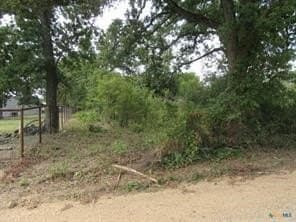 22.43 acres in Milam County - photo 3