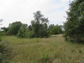 22.43 acres in Milam County - photo 6