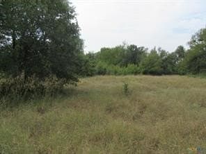 22.43 acres in Milam County - photo 9