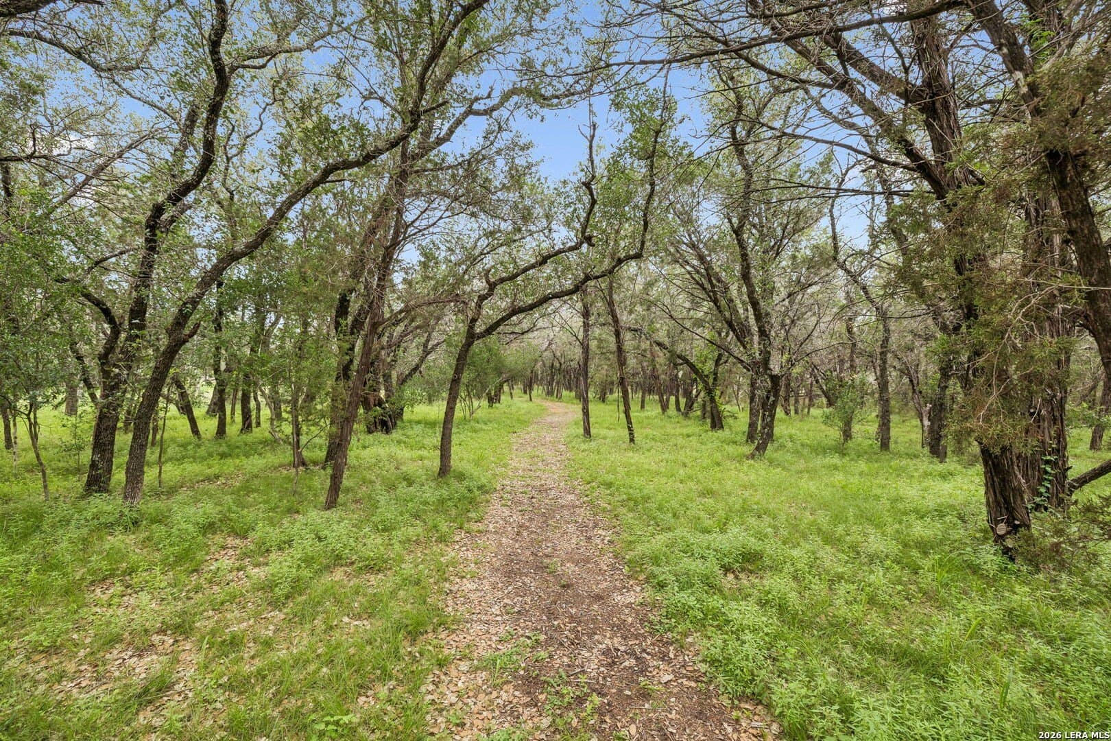 12 acres in Burnet County - photo 9