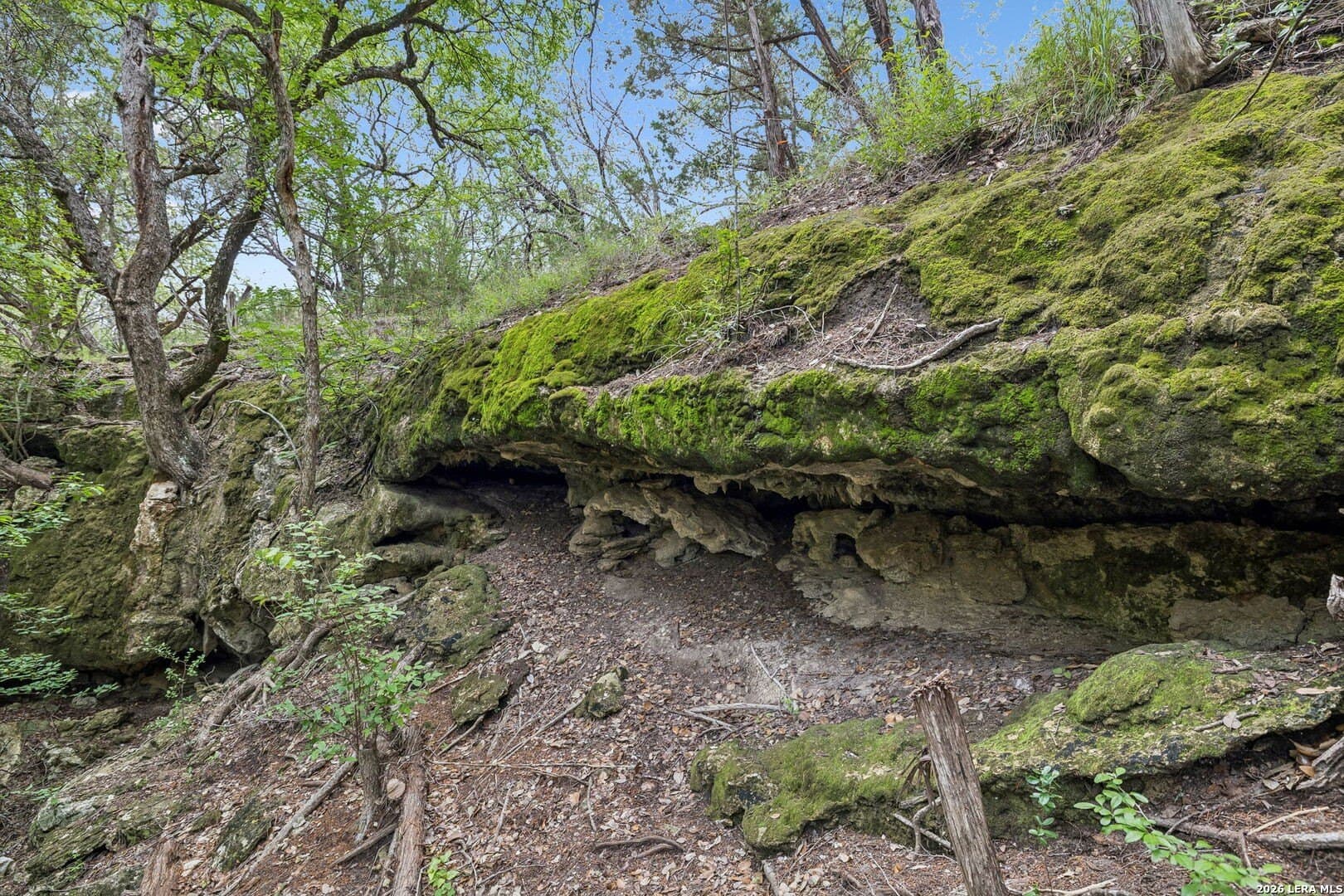 12 acres in Burnet County - photo 8