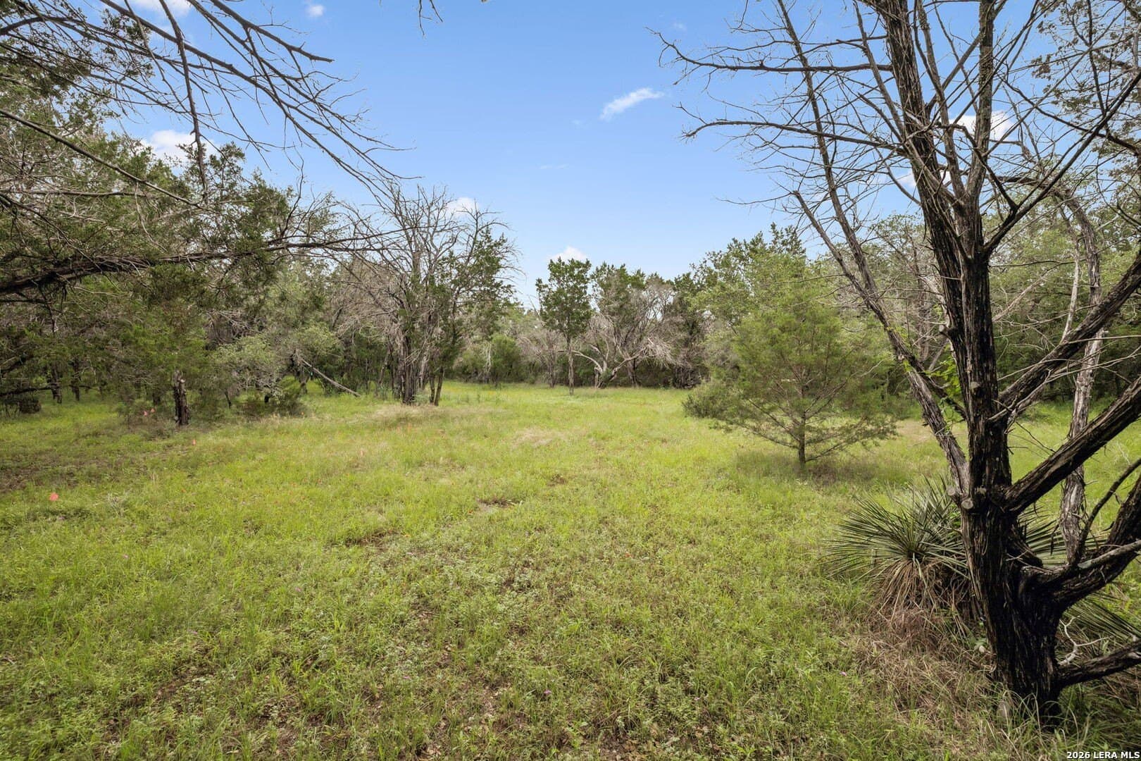12 acres in Burnet County - photo 39