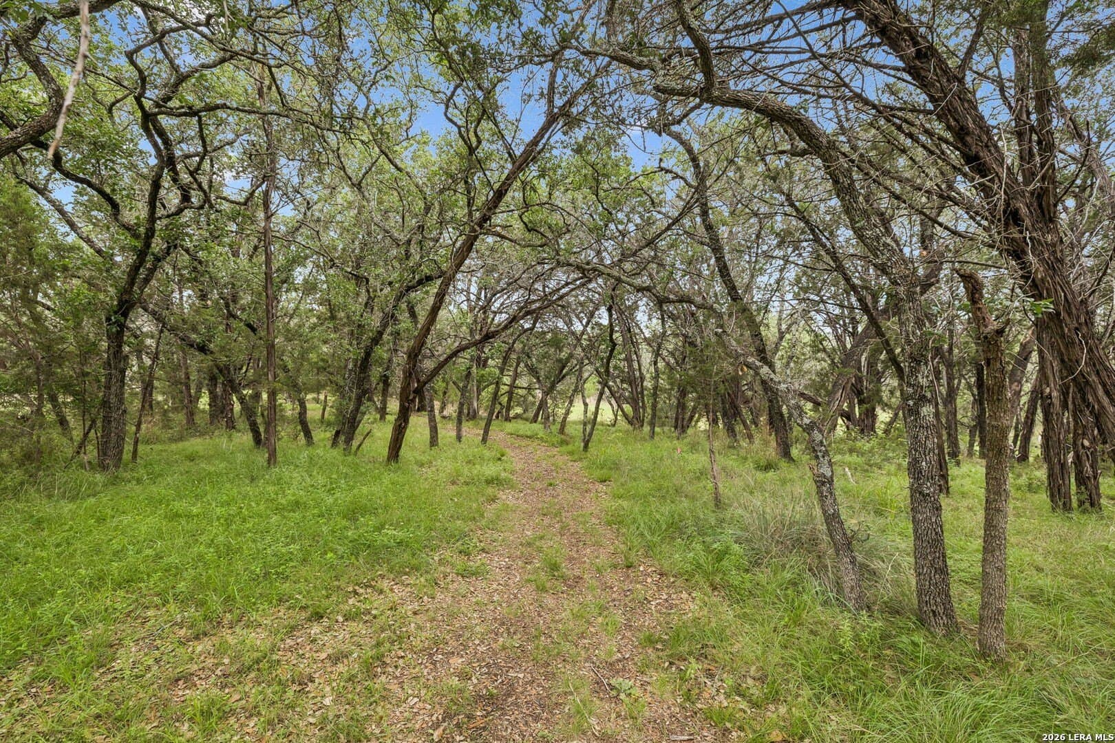 12 acres in Burnet County - photo 38