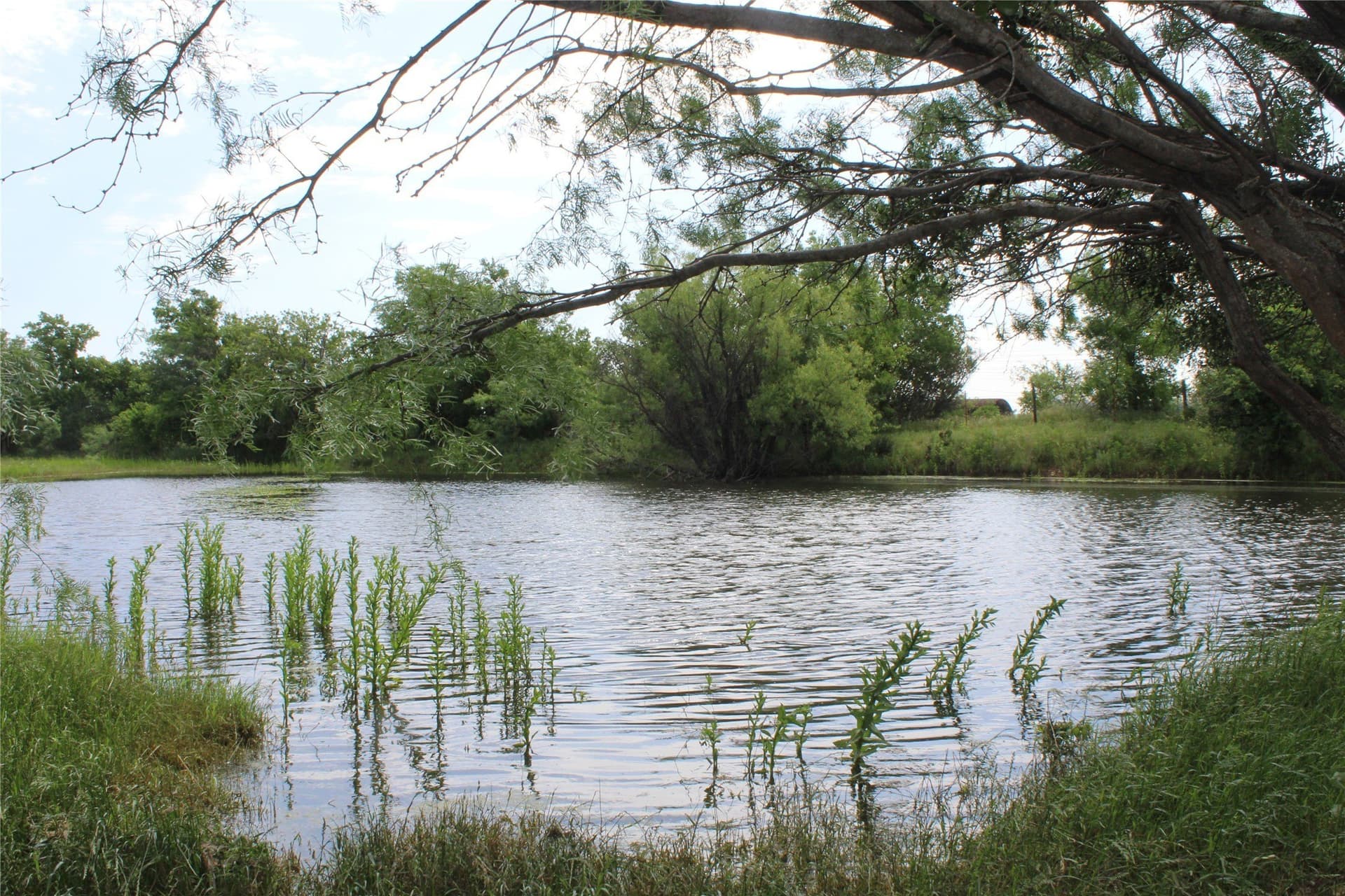 72.6 acres in Brown County - photo 24