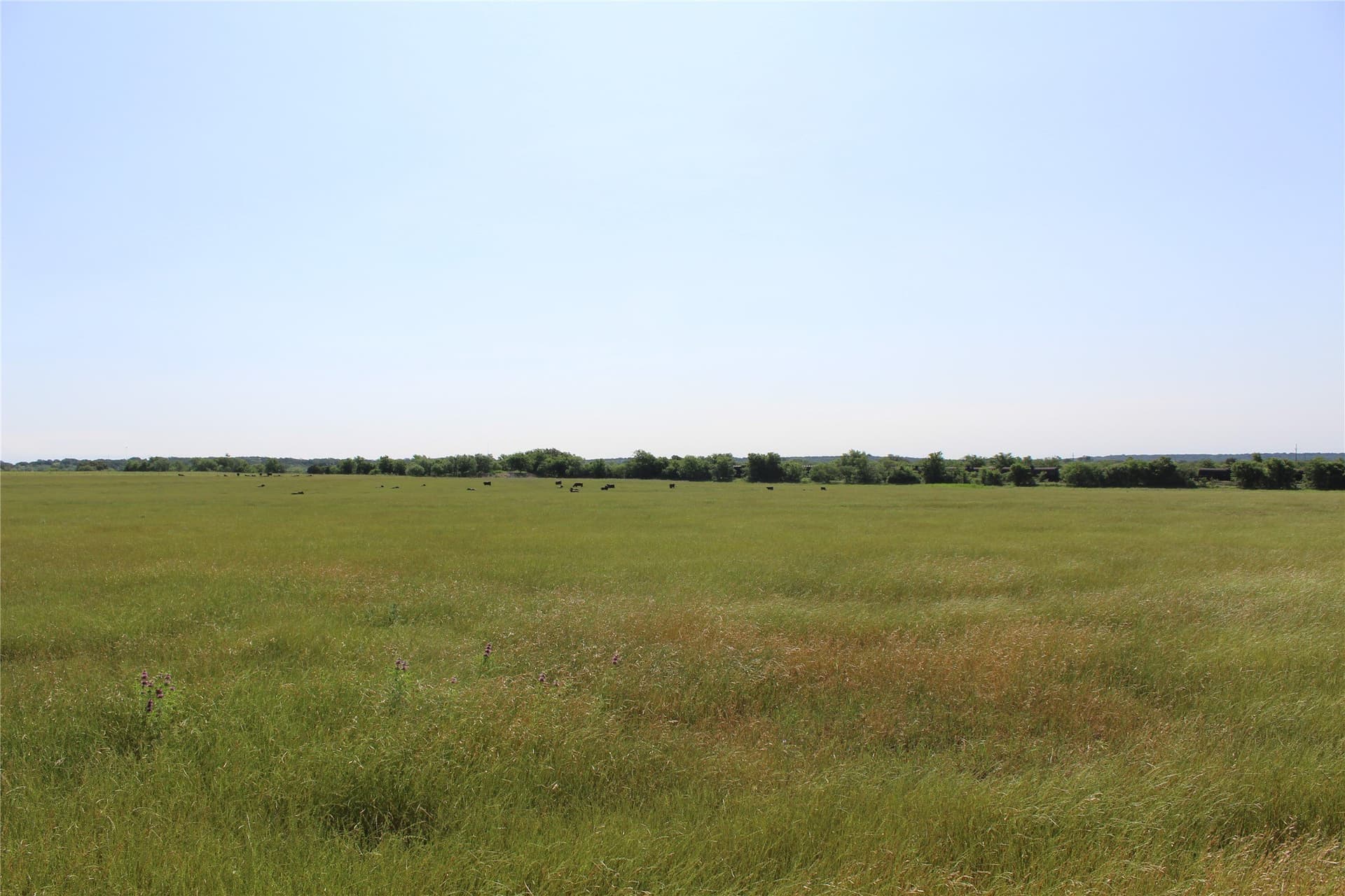 72.6 acres in Brown County - photo 12