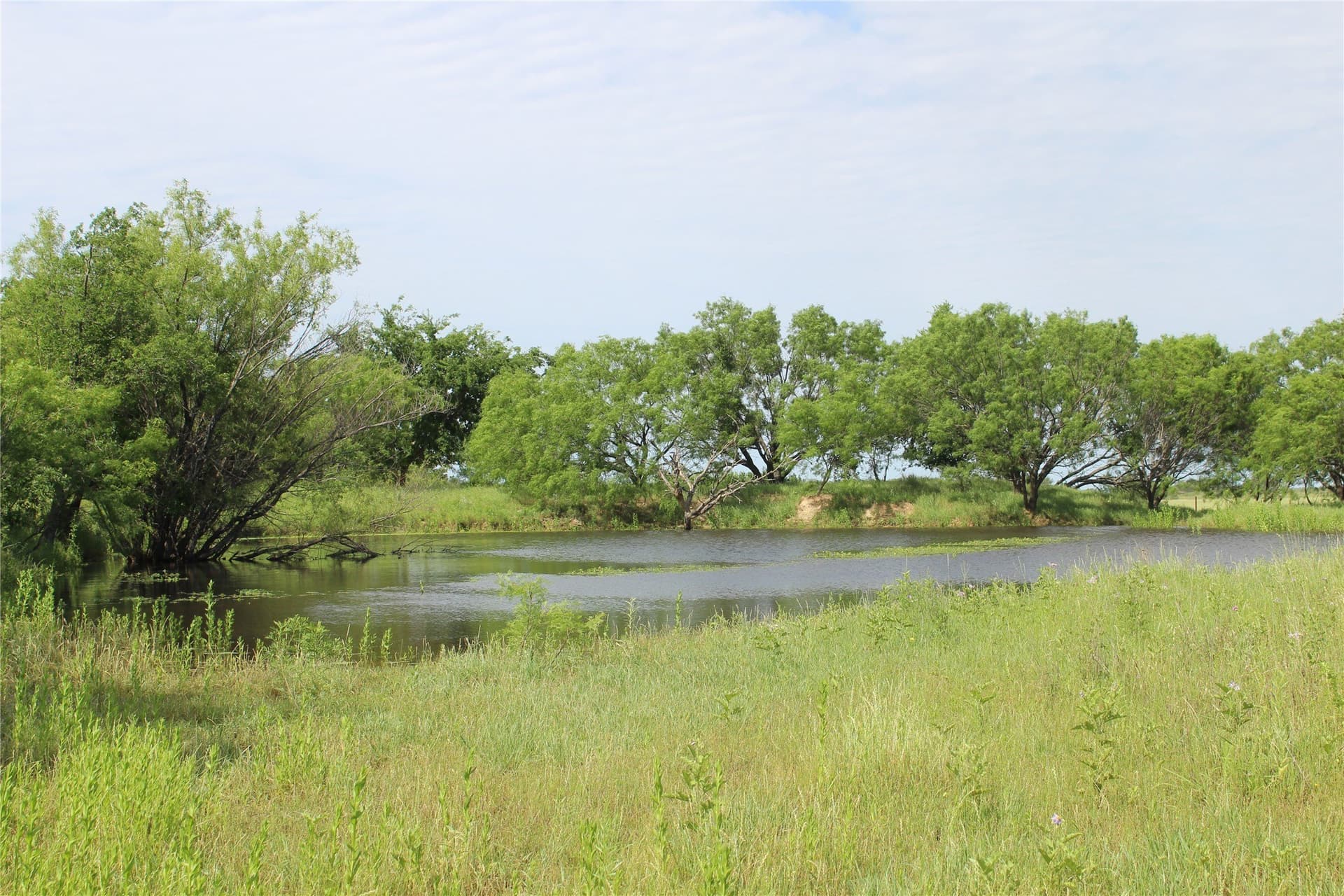 72.6 acres in Brown County - photo 23