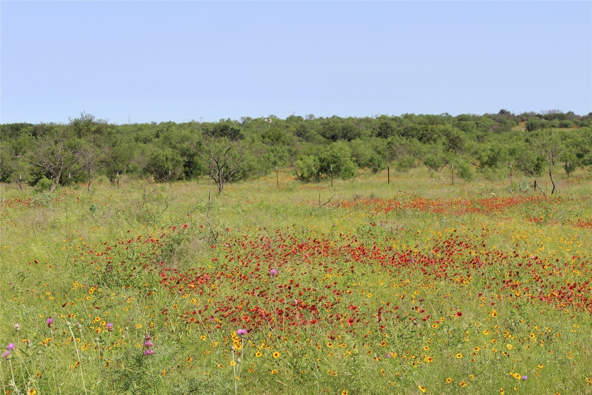 72.6 acres in Brown County - photo 16