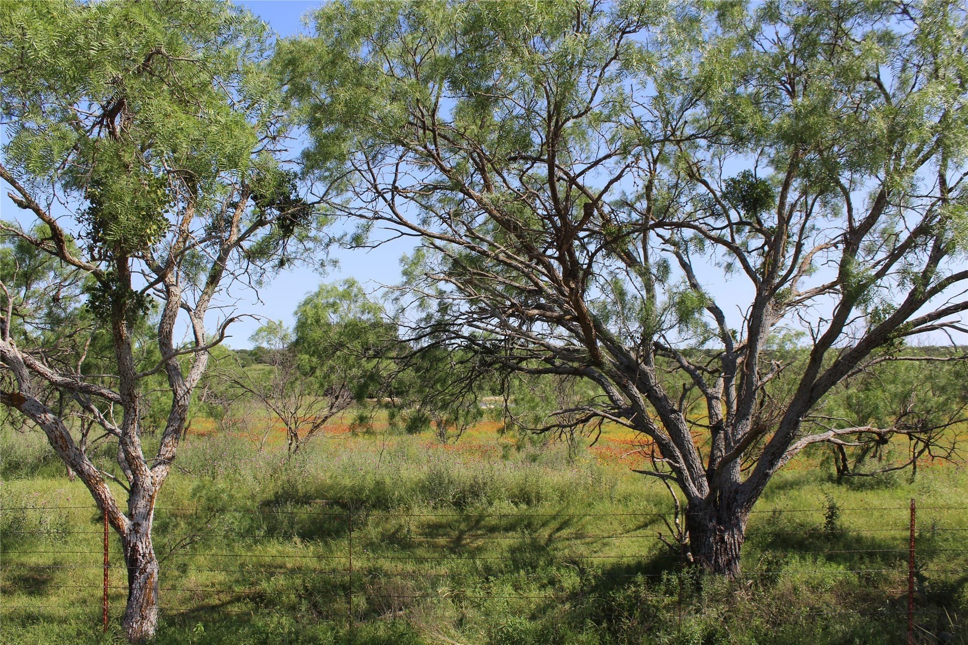 72.6 acres in Brown County - photo 14
