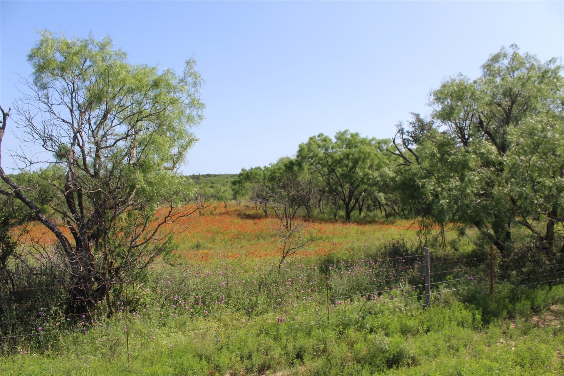 72.6 acres in Brown County - photo 15