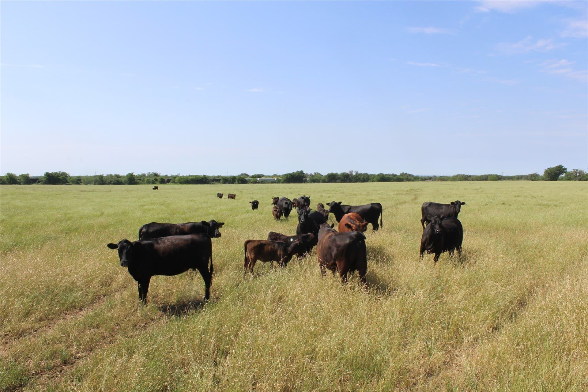 72.6 acres in Brown County - photo 19