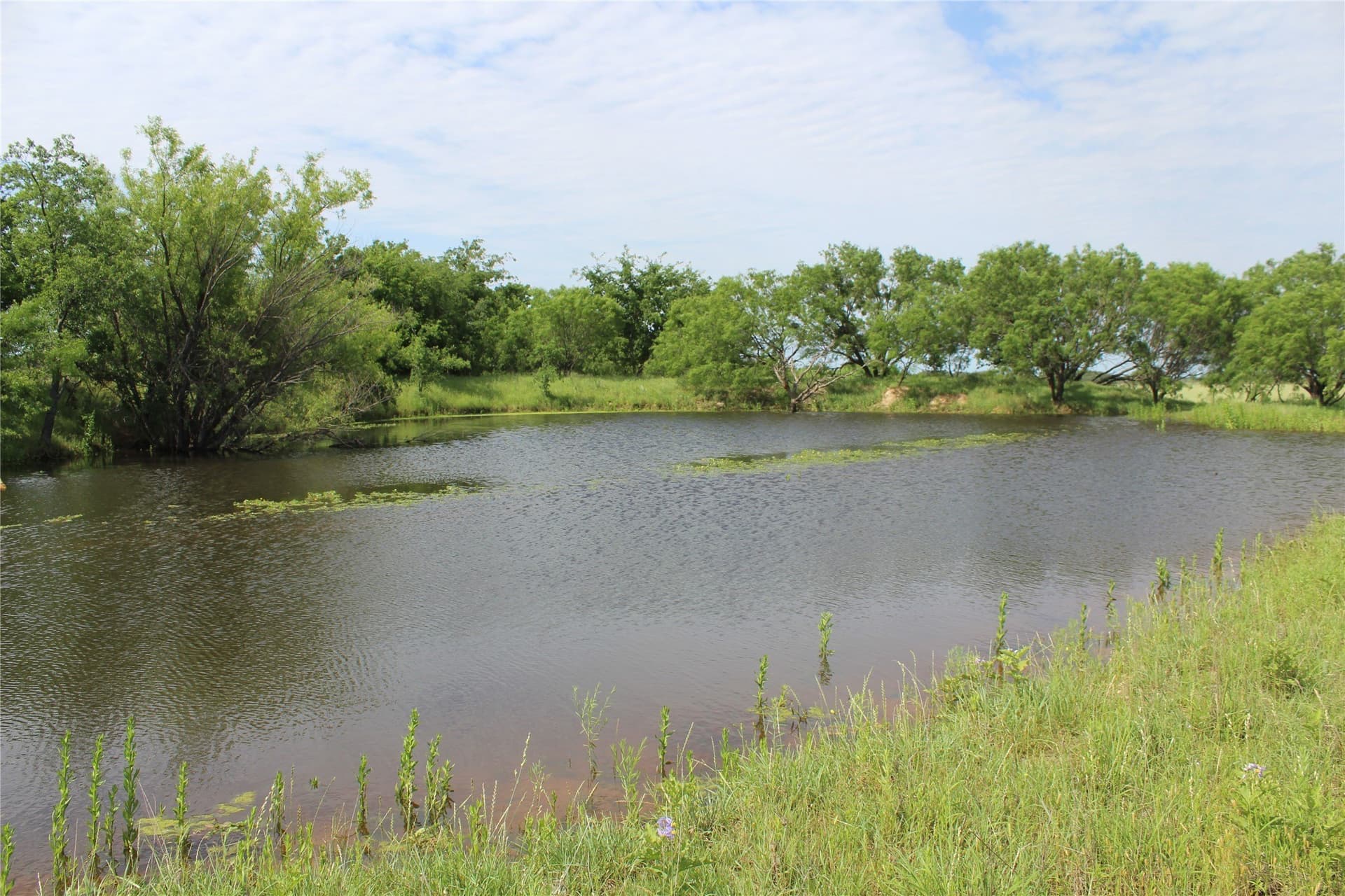 72.6 acres in Brown County