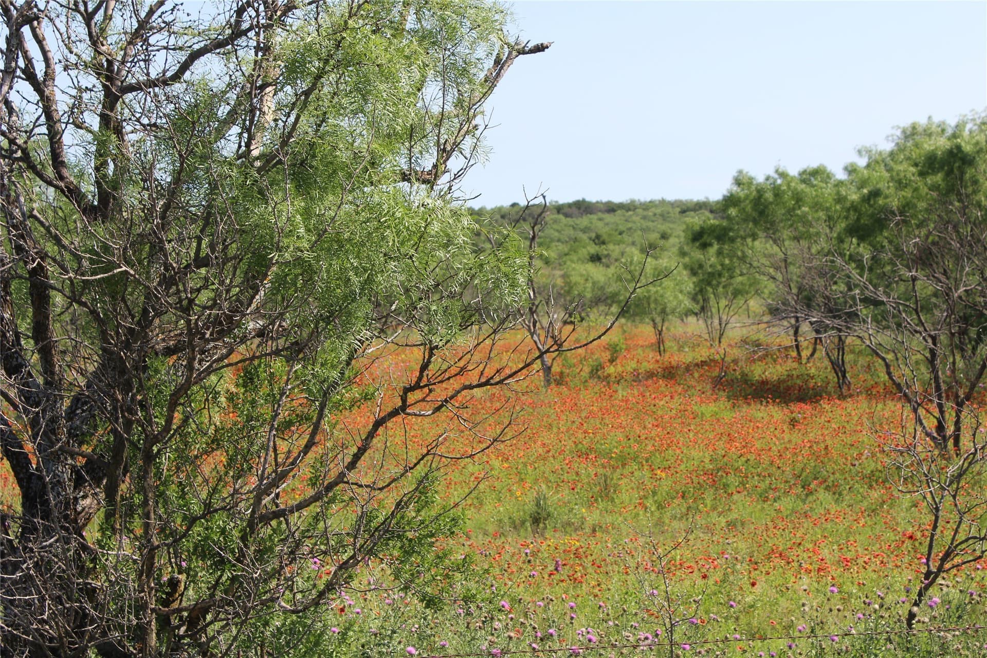 72.6 acres in Brown County - photo 3