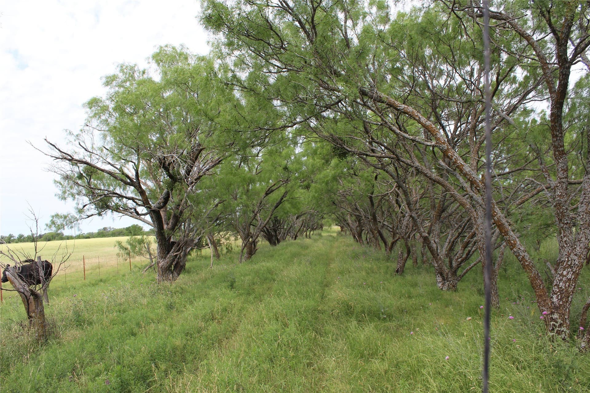 72.6 acres in Brown County - photo 10