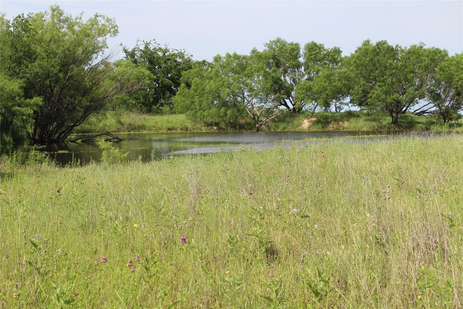 72.6 acres in Brown County - photo 7