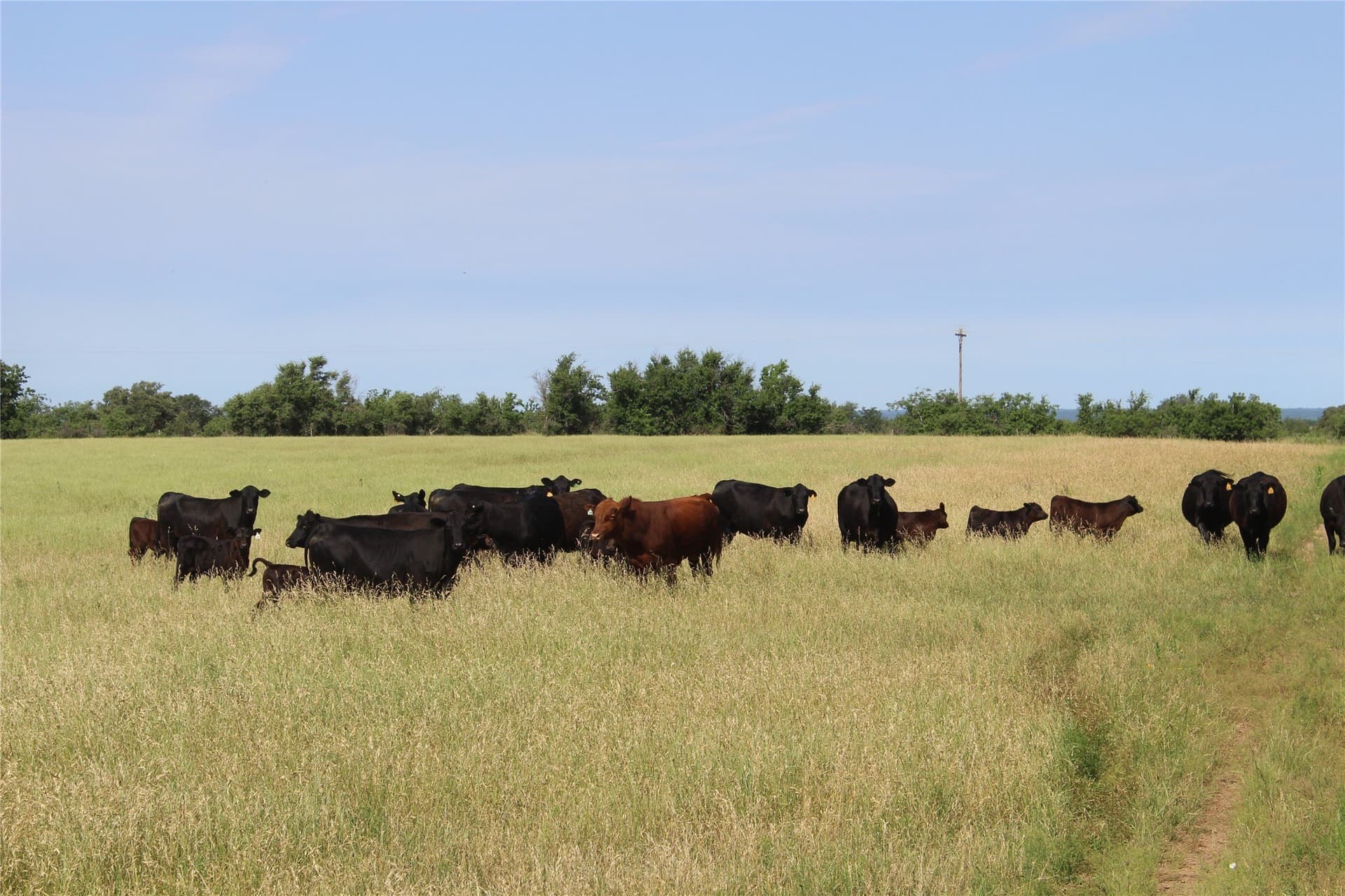 72.6 acres in Brown County - photo 5