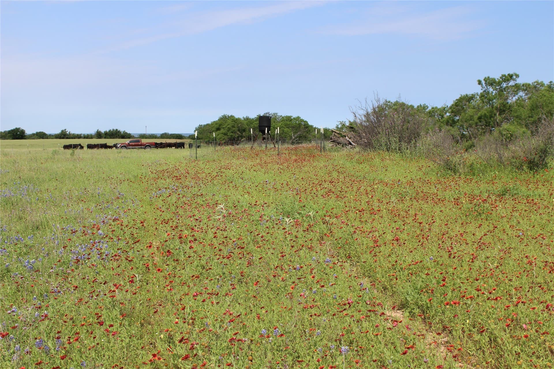 72.6 acres in Brown County - photo 6