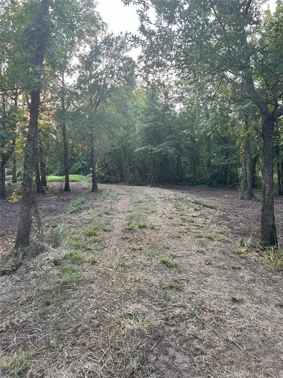 10.8 acres in Smith County featured view