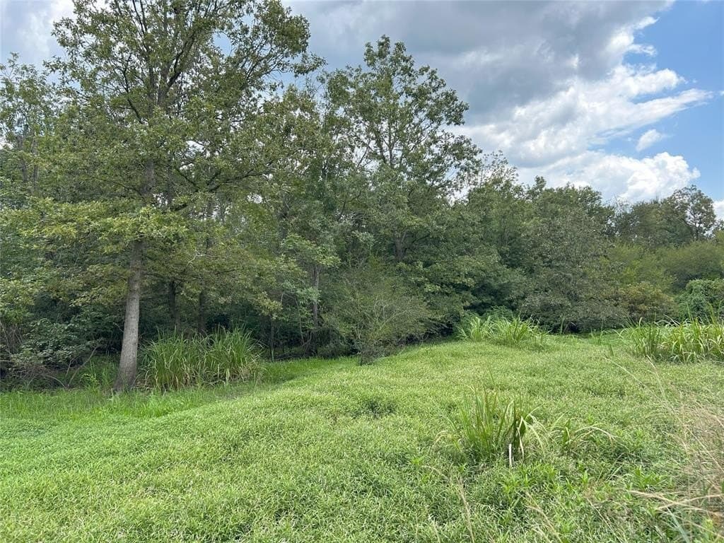 10.8 acres in Smith County gallery image 4