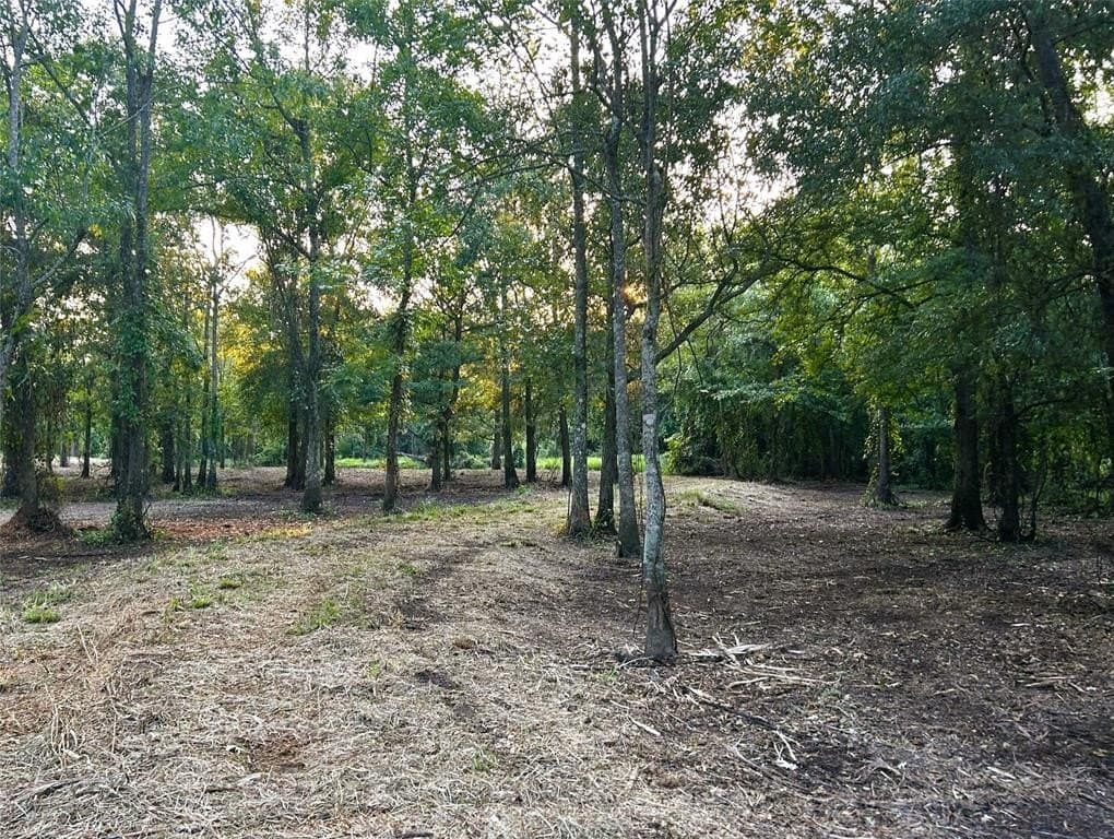 10.8 acres in Smith County gallery image 2