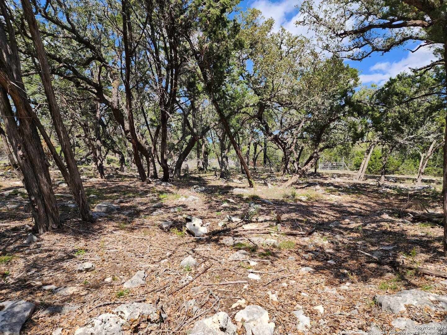 0.76 acres in Comal County gallery image 4