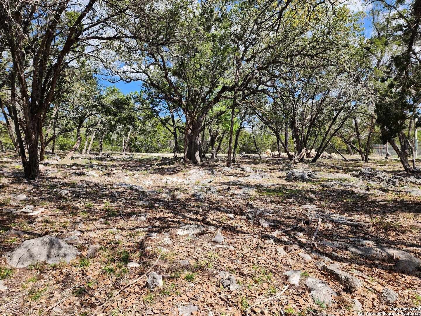 0.76 acres in Comal County - photo 7